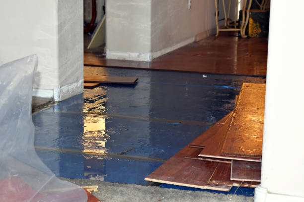 Professional Burst Pipe Water Damage technician working in Tilden, TX